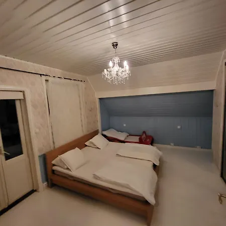 Executive 5 Bedrooms House In Central - 5 Mins Walk From Station Apartment *