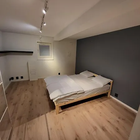 Executive 5 Bedrooms House In Central - 5 Mins Walk From Station *